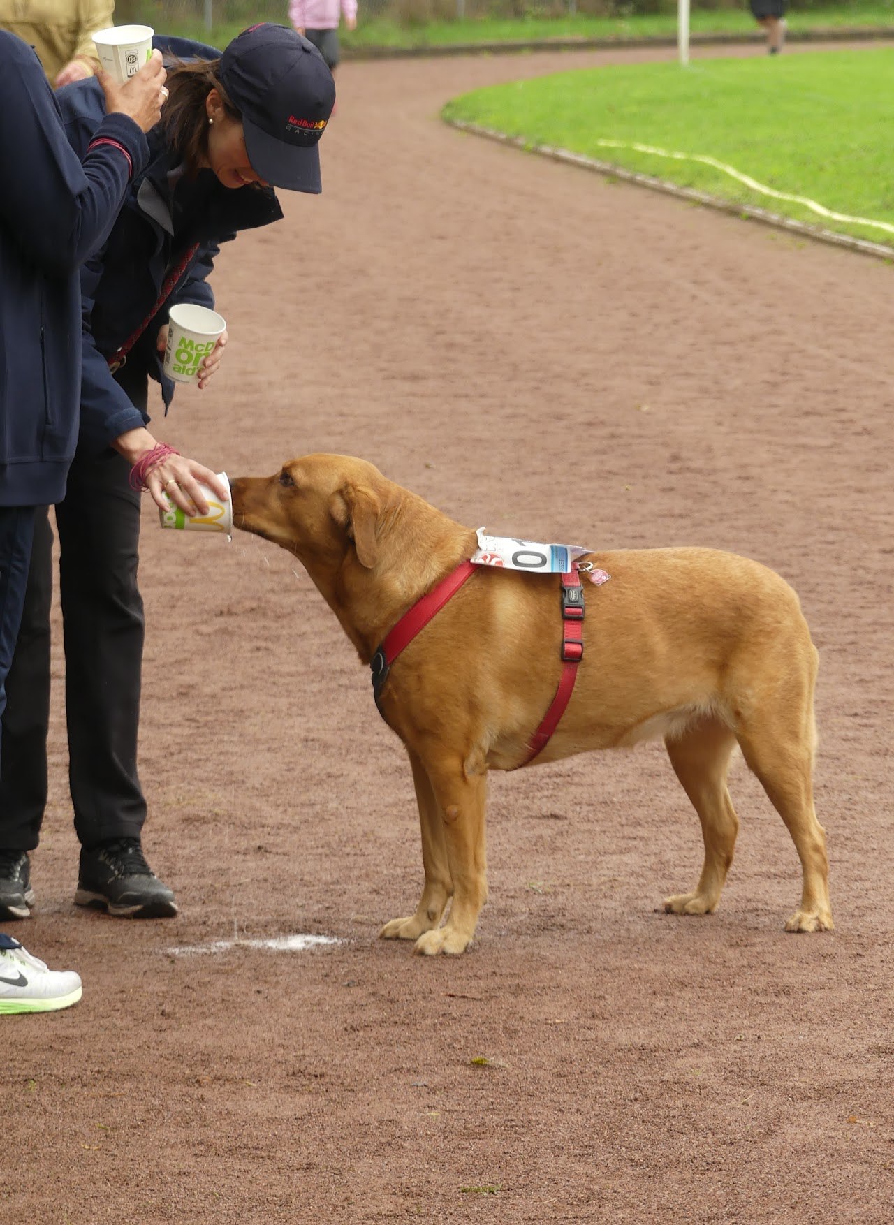 Bild vom 13. Benefizlauf im Jahr 2022. Dies ist das 573. Bild.